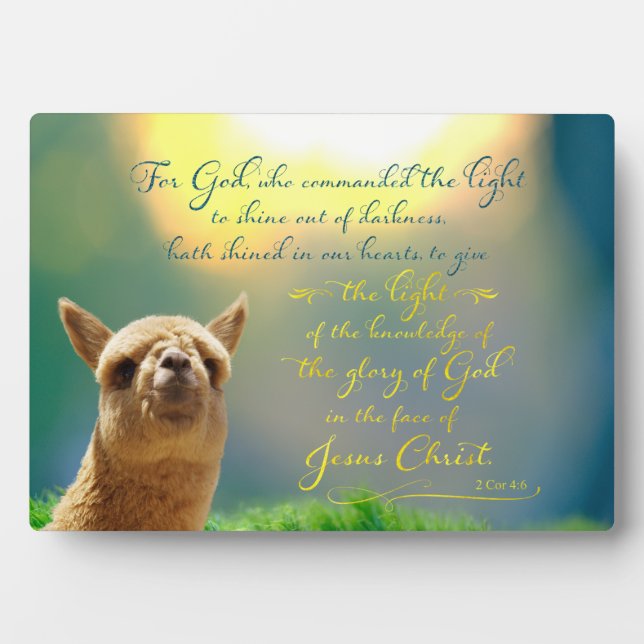 Photo Alpaca Gold Turquoise Bible Citation Easel Plaque (Devant)