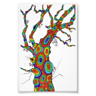 Photo Arbre arc-en-ciel - impression photographique colo