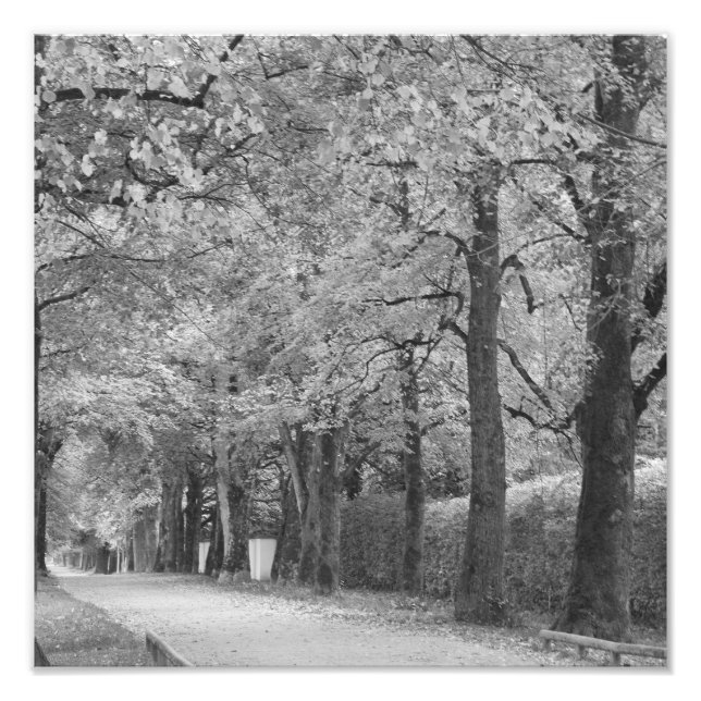 Photo "Archway" (Devant)