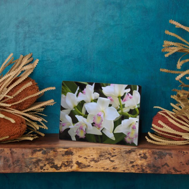 Photo Art Décor Plaque de fleurs orchidées (Côté)
