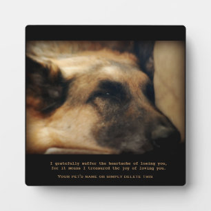 Photo Belle plaque commémorative d'animal de compagnie B