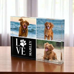 Photo Bloc de photos de collage pour amateur de chiens m