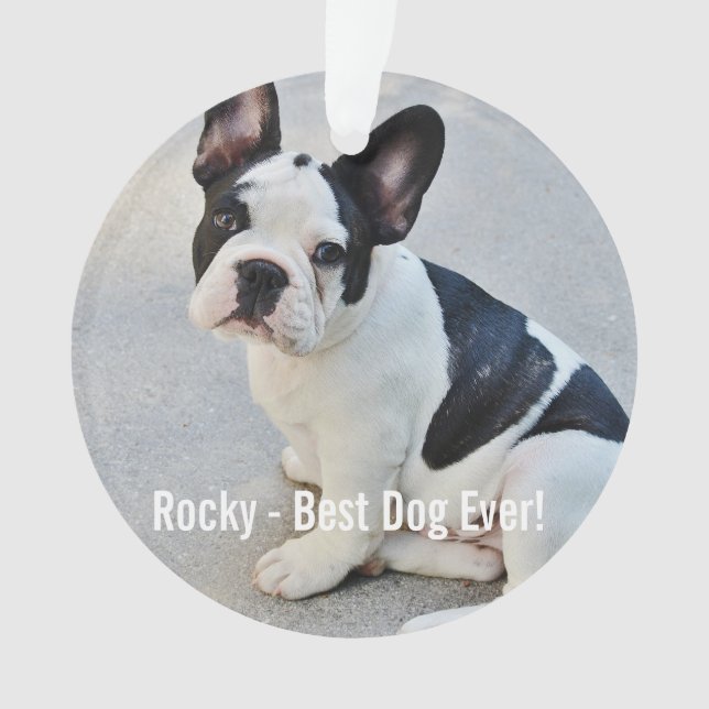 Photo Bulldog personnalisée et nom Bulldog (devant)