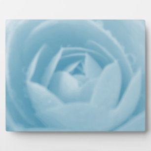 Photo Camellia Whirlpool Plaque