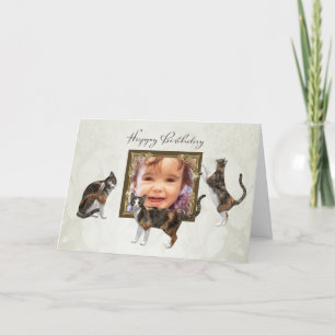 Photo Carte Anniversaire avec chats ludiques