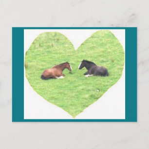Photo Carte postale 5 Horse Love - Beauté naturell