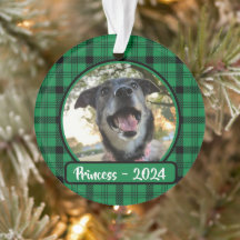 Photo Chien vert et noir plaqué Noël