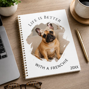 Photo citation Bouledogue Français 2027