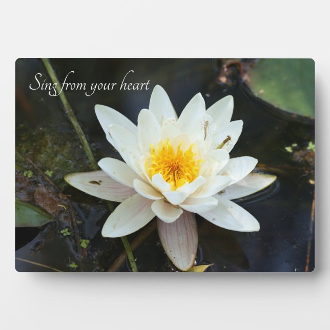 Photo Citations Inspiration Plaque de table avec Easel (Devant)