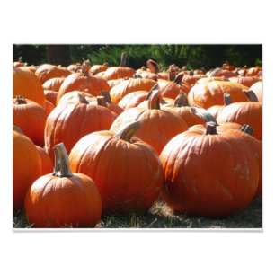 Photo citrouille pour automne, Halloween ou Thanks