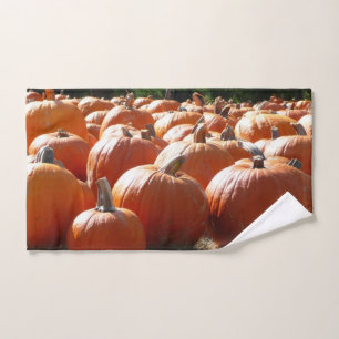 Photo citrouille pour automne, Halloween ou Thanks