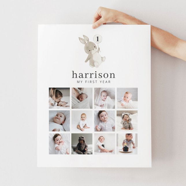 Photo Collage Poster - Ballons de lapin (Créateur téléchargé)