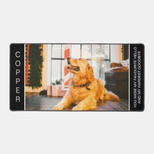 Photo commémorative personnalisée pour chien
