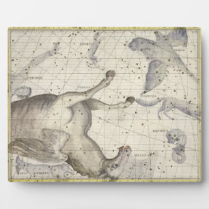 Photo Constellation de Pegasus, plaque 25 de 'Atlas Coe
