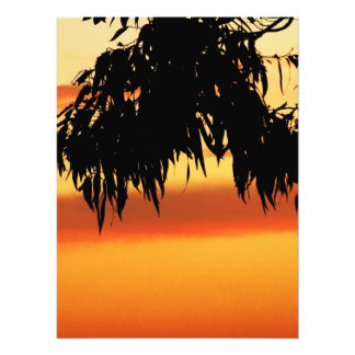 Photo coucher de soleil en silhouette australienne