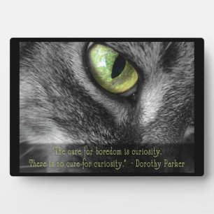 Photo Curiosity Chat avec Parker citation plaque