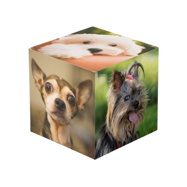 Photo Cute & Funny Dogs (et / ou VOS photos) cube (Angle devant)