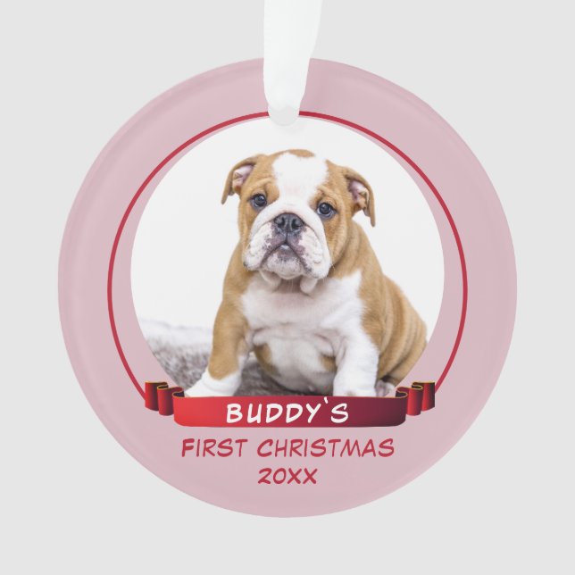 Photo Cute Pink Puppy 1st Christmas Dog (devant)