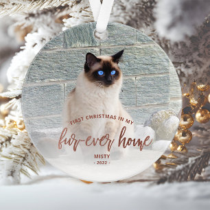 Photo d'animal de compagnie Premier Noël Maison po