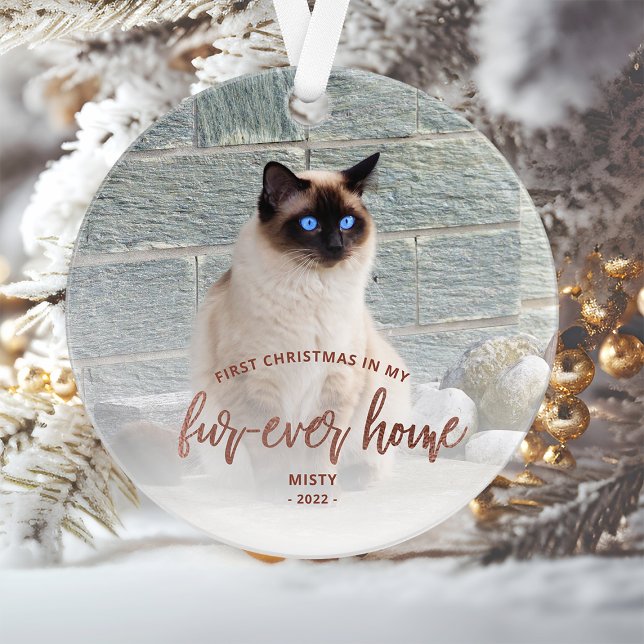 Photo d'animal de compagnie Premier Noël Maison po (Créateur téléchargé)