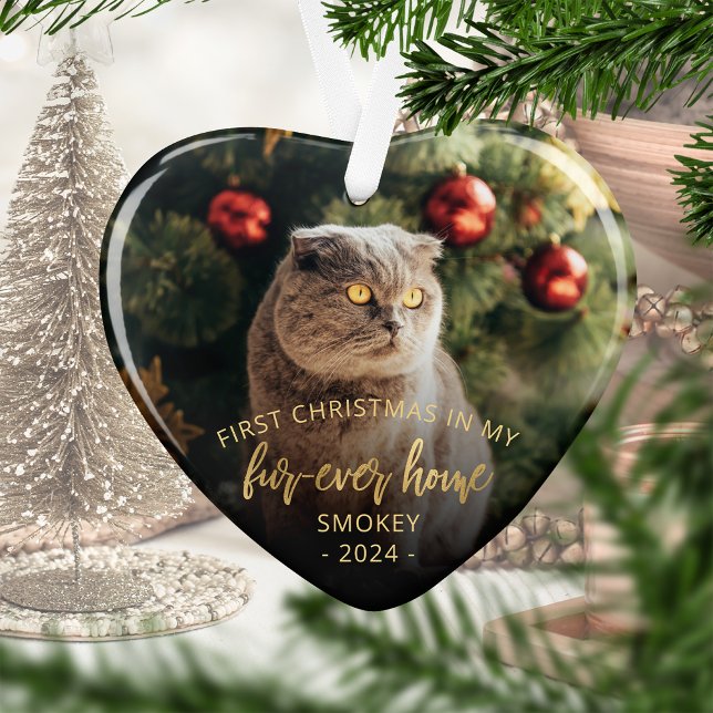 Photo d'animal Premier Noël Maison pour toujours É (Créateur téléchargé)