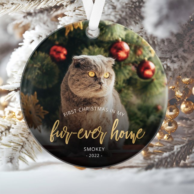 Photo d'animal Premier Noël Maison pour toujours O (Créateur téléchargé)