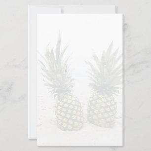 Photo de 2 ananas sur une plage