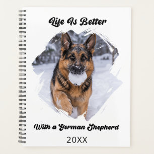 Photo de Berger Allemand GSD La vie est meilleure