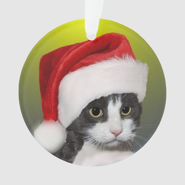 Photo de chat de Noël personnalisée Carol Tuxedo (devant)