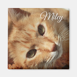 Photo de chat et aimant personnalisés de nom