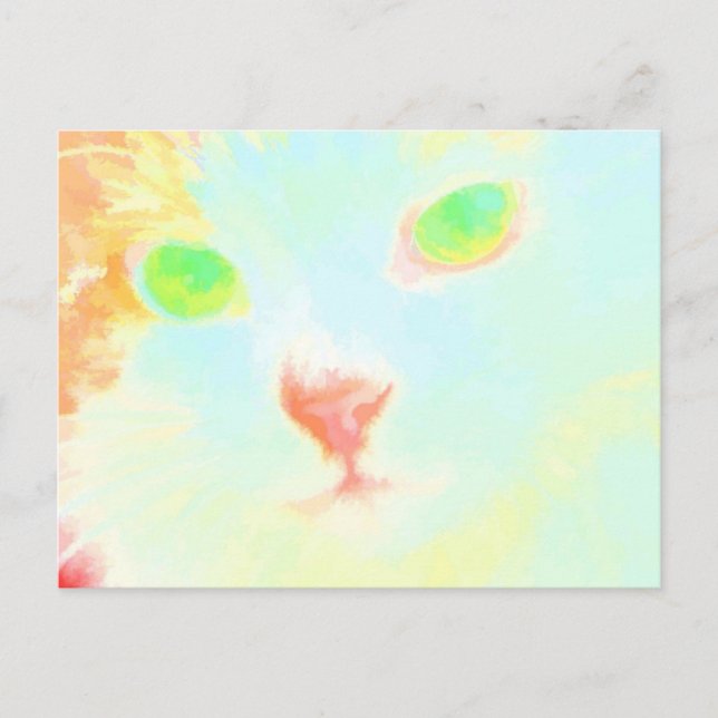 Photo de chat Pastel Maine Coon - Carte Postale (Devant)
