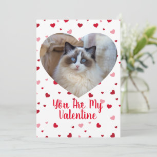 Photo de chat personnalisée Carte Saint-Valentin