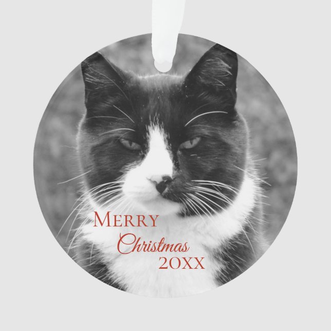 Photo de chat personnalisée Joyeux Noël  (devant)