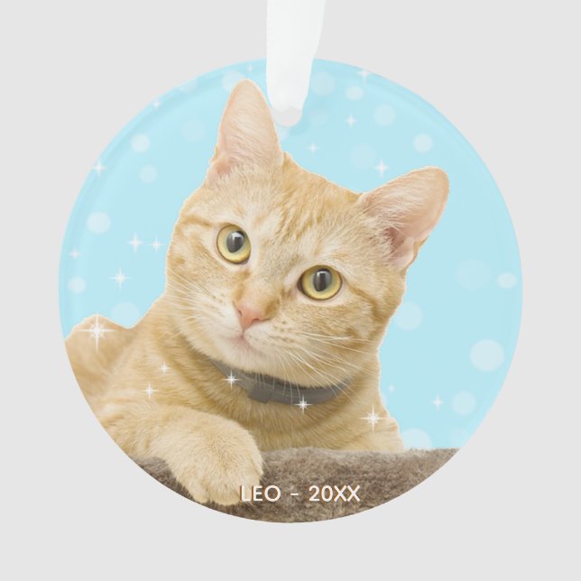 Photo de chat roux personnalisé (devant)