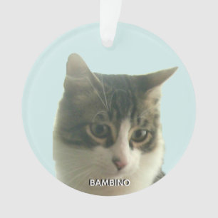 Photo de chat tigré personnalisé sur fond bleu cla