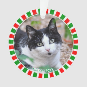 Photo de chat tuxedo personnalisée et cadre rouge