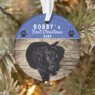 Photo de Chien bleu pâle de Noël de la chienne