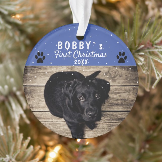 Photo de Chien bleu pâle de Noël de la chienne (Arbre)