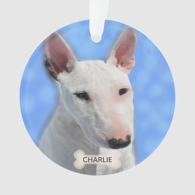 Photo de chien Bull Terrier personnalisé (devant)
