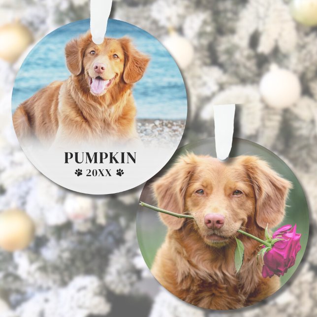 Photo de chien de Noël avec accessoires (Paw Print Christmas Dog Name Pet Photo Ornament )