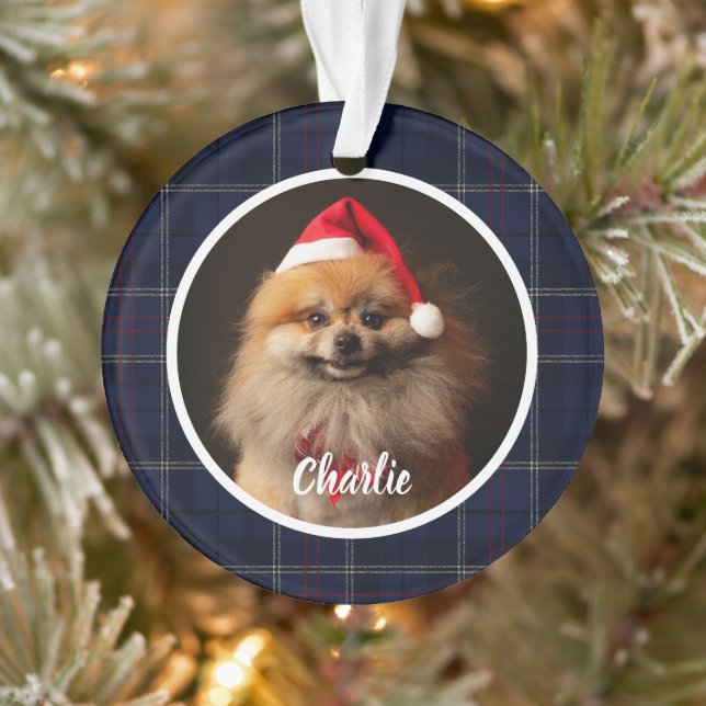 Photo de chien écossais bleu marine classique (Arbre)