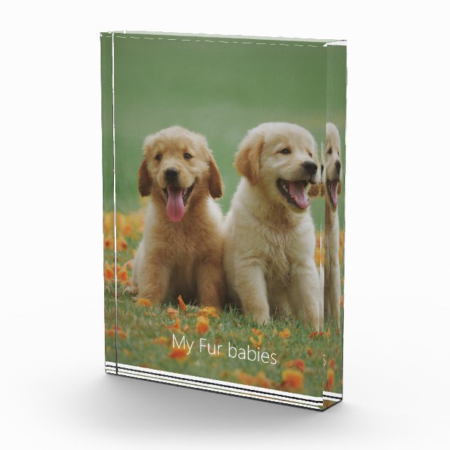 Photo de chien Ma fourrure Bébés Bloc photo (Droite)