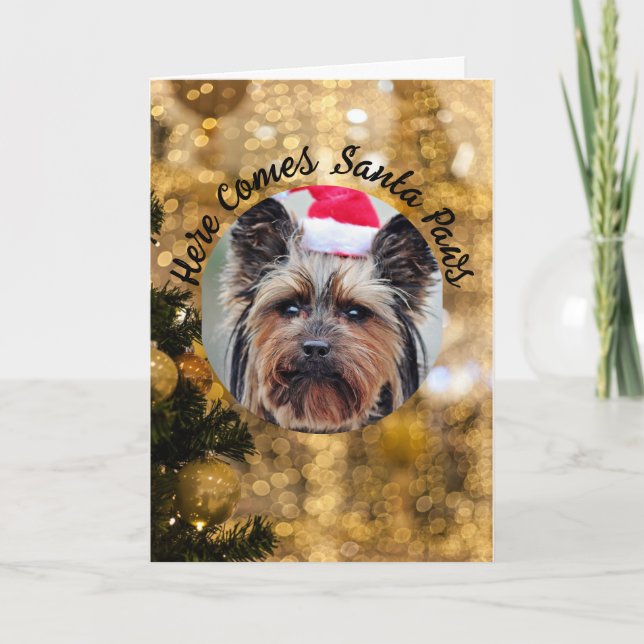 Photo de chien Personnaliser le nom Noël Carte de  (Devant)