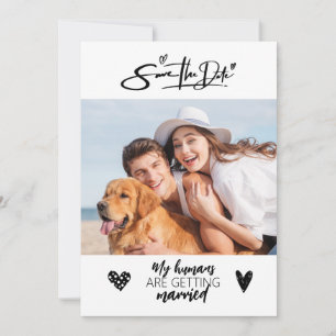 Photo de chien rustique pour faire-part de mariage