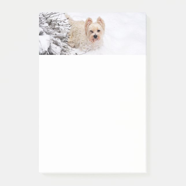 Photo de chien Snow Westie Papeterie 4x6 Post-it N (Devant)