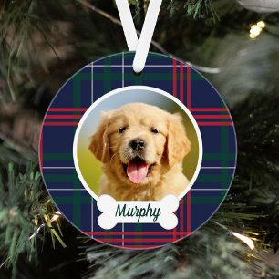 Photo de Chien sur mesure de la Marine Rouge Tarta