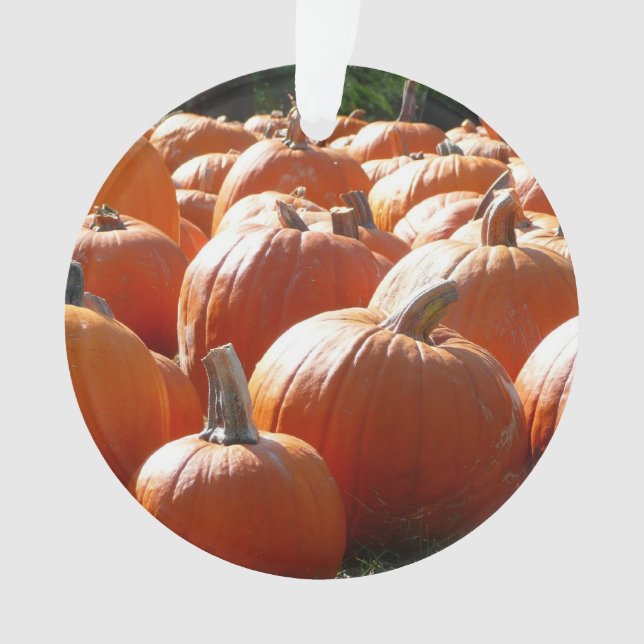Photo de citrouilles pour l'automne, Halloween ou  (devant)