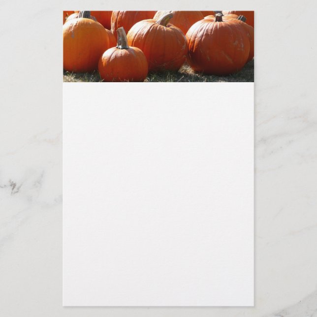Photo de citrouilles pour l'automne, Halloween ou  (Devant)