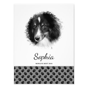 Photo de compagnie personnalisée & pattes noires s