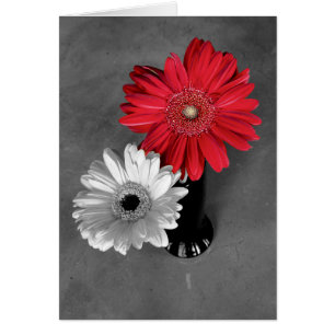 Photo de couverture Bold Red Color Splash Gerber D